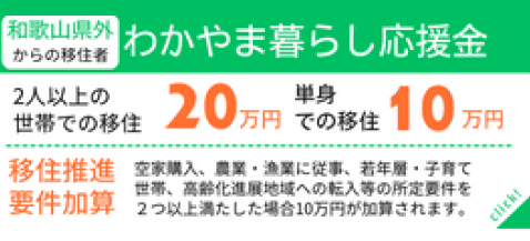 わかやま暮らし応援金