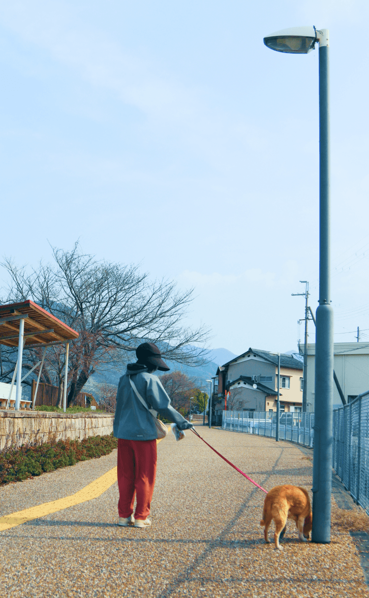 有田川町の風景3