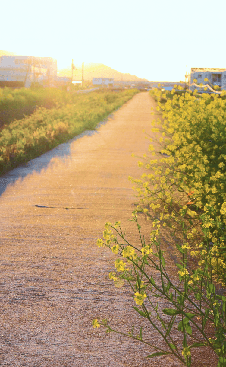 有田川町の風景4