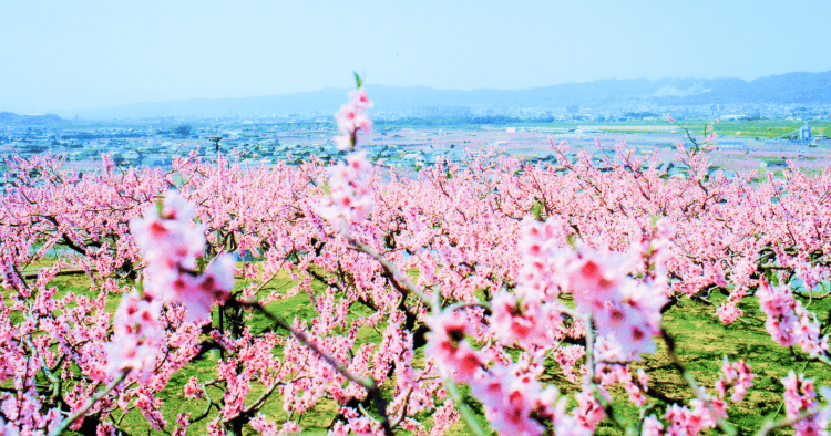 紀の川市の風景