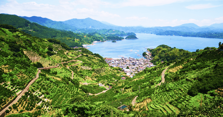 西予市の風景