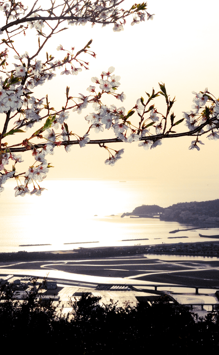 和歌山市の風景4