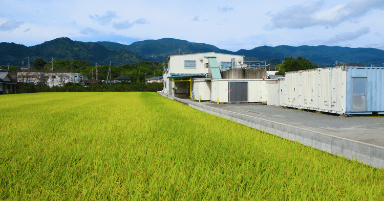 株式会社大覚総本舗