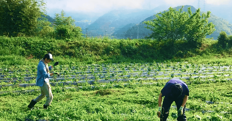 株式会社開墾隊
