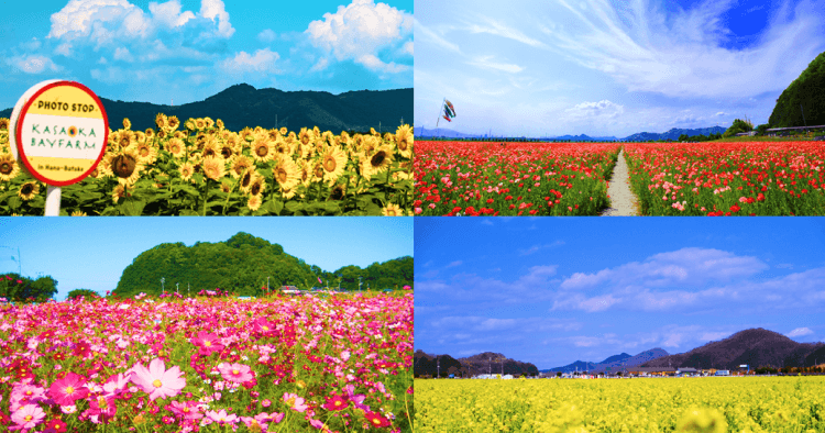 笠岡市