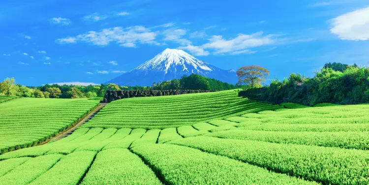 静岡県