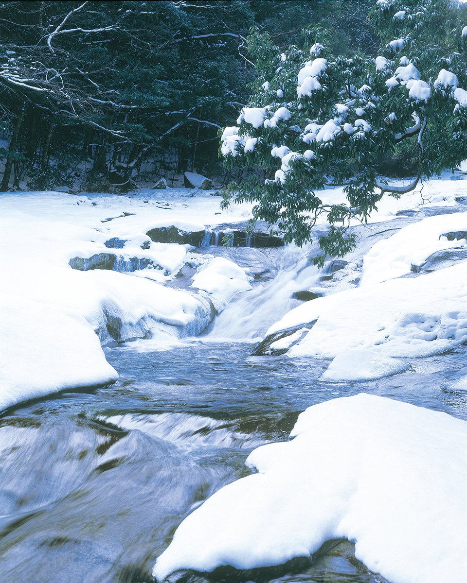 雪の滑床渓谷