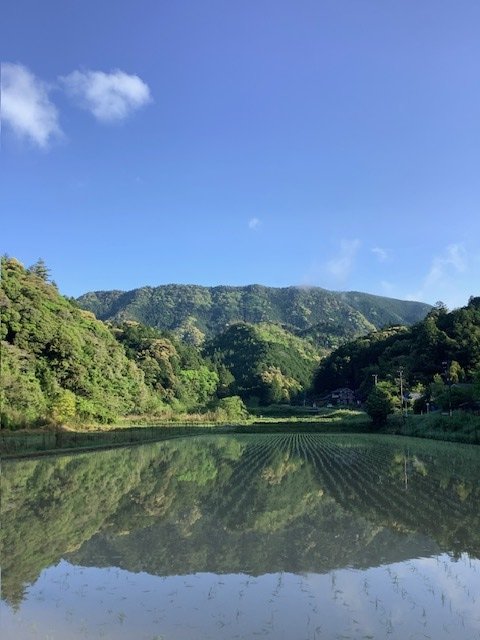 山々を映す、水を張った田んぼ