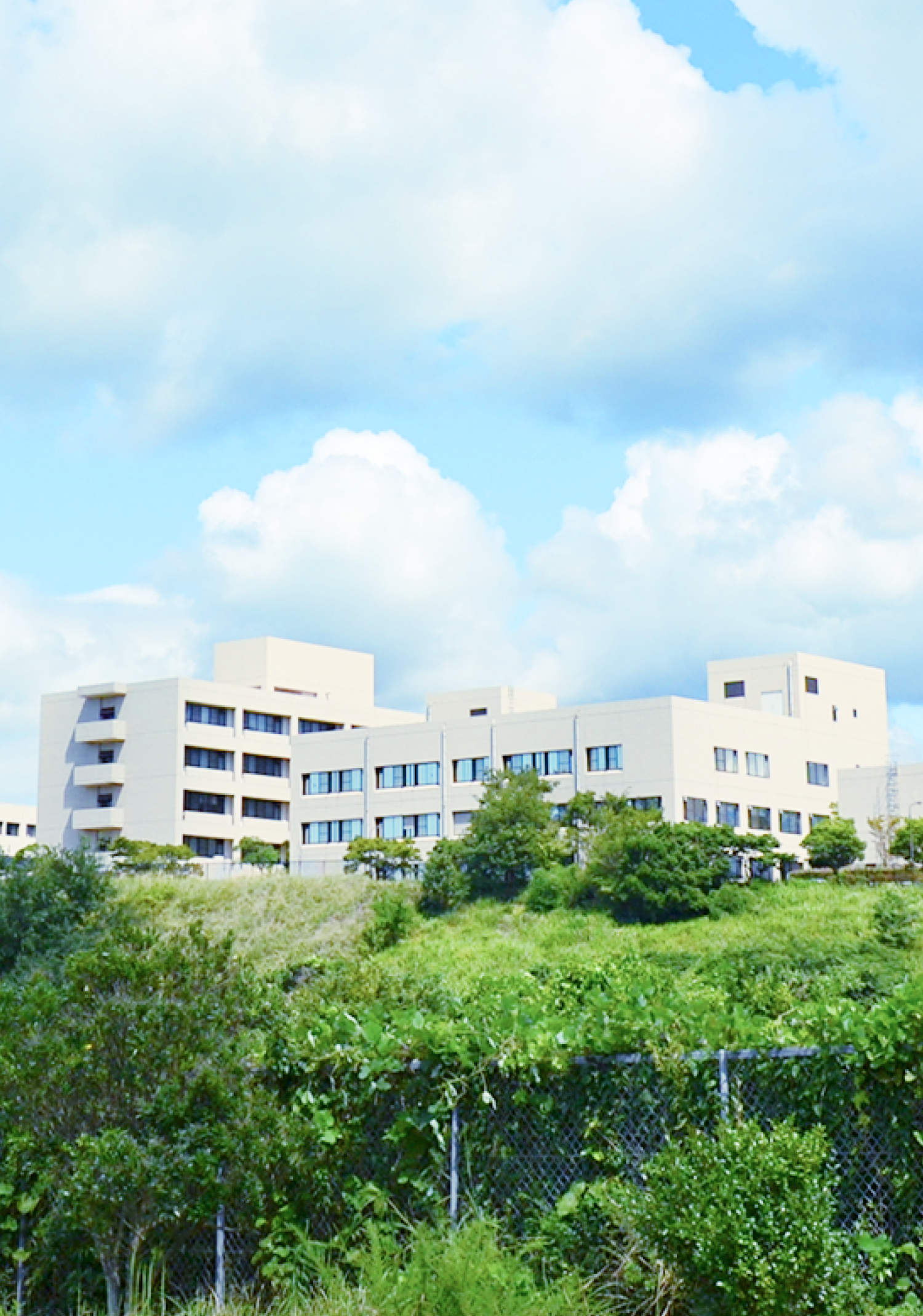 国立大学法人 和歌山大学