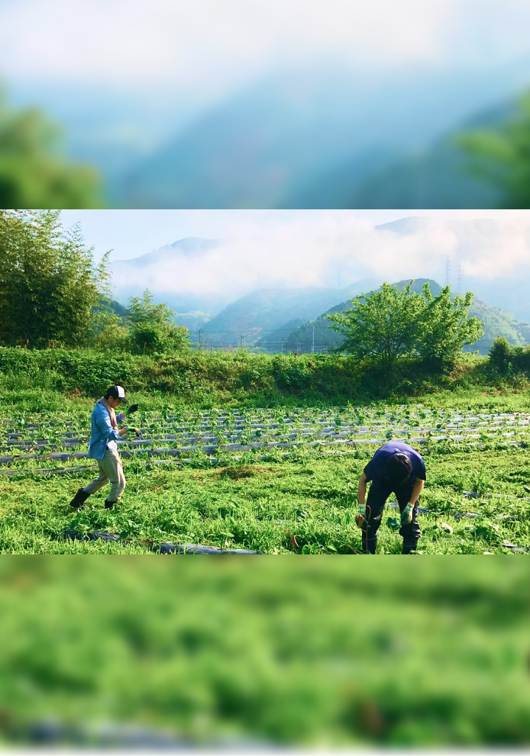 株式会社開墾隊